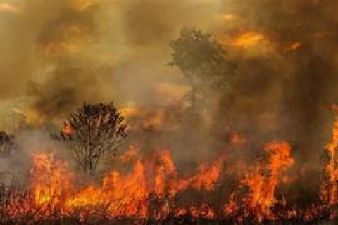 Incêndios intencionais: Acre ultrapassa 100 focos registrados por satélite em julho