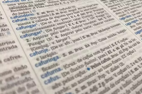 'Terrir', 'disania', ‘pejotização’... 8 palavras podem entrar para o vocabulário oficial da língua portuguesa; veja lista