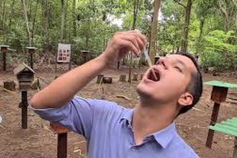 Casal produz mel em área que levou quase 30 anos para ser reflorestada no Acre: 'Sem as abelhas nós morremos'