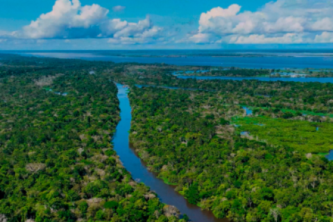 COP30 em Belém reúne turismo para debater crise climática na Amazônia