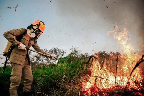 Governo se antecipa ao combate de incêndios e lança edital para seleção de brigadistas comunitários