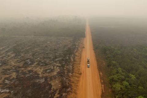 Amazônia ainda pode evitar 'ponto de não retorno', aponta estudo