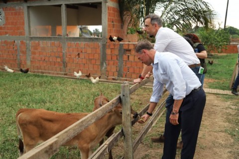 SUSTENTABILIDADE NO CAMPO