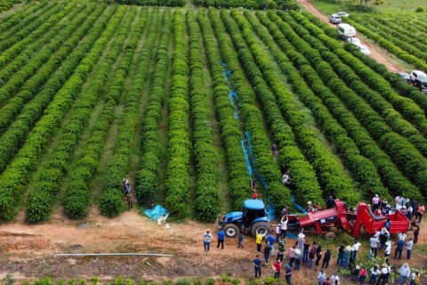 Produção de café do Acre ganha destaque em reportagem da Folha de São Paulo