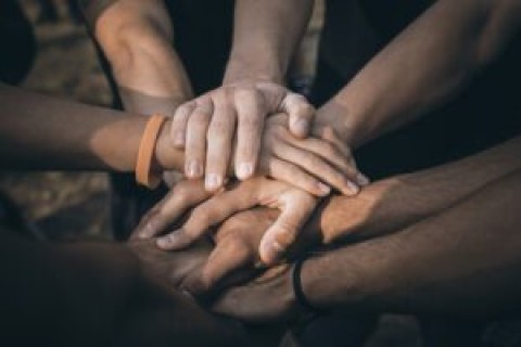 PARTICIPAÇÃO SOCIAL