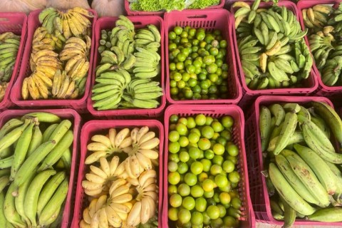 No Acre, 400 famílias de 15 cidades são incluídas no Programa de Fomento às Atividades Produtivas Rurais e fortalece renda em todo o estado
