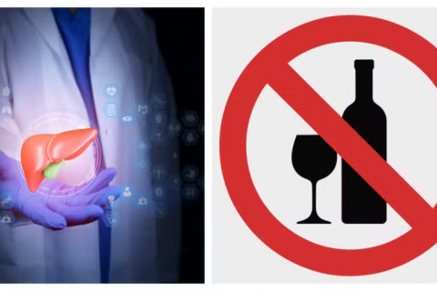 Fígado abstêmio: o que acontece com seu fígado após 24 horas, 7 dias ou 30 dias sem álcool